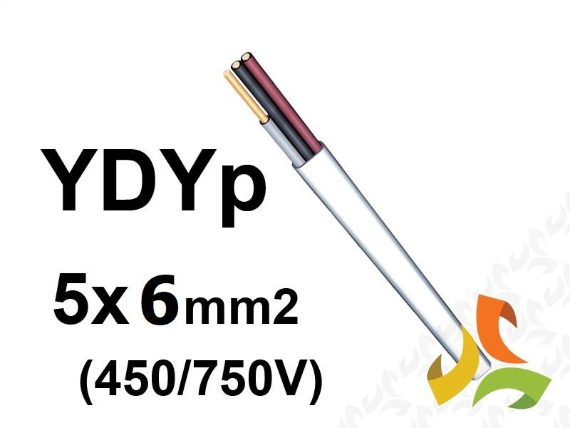 Przewód YDYpżo 5x6 mm2 (450/750V) instalacyjny płaski (krążki 100m) 5901854413167 ELPAR-1