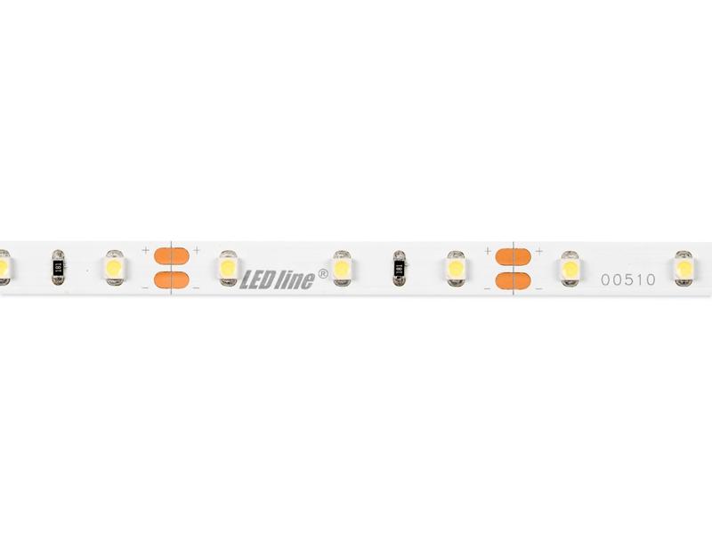Taśma LED line 300 SMD 3528 pasek 12V 4,8W biała zimna 6500K 5m 240188-0