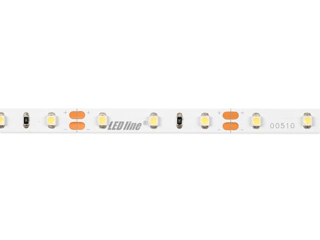 Taśma LED line 300 SMD 3528 pasek 12V 4,8W biała zimna 6500K 5m 240188