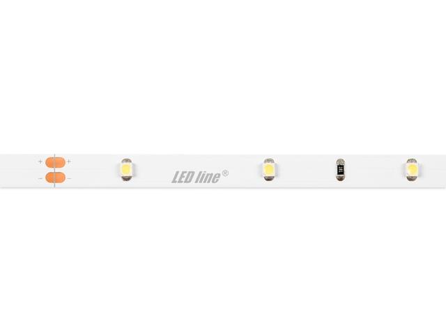 Taśma LED line 150 SMD 3528 pasek 12V 2,4W biała zimna 6500K 5m 240010