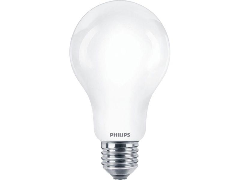 Żarówka LED classic 17,5W A67 E27 CW FR ND 1SRT4 871869976459300 PHILIPS