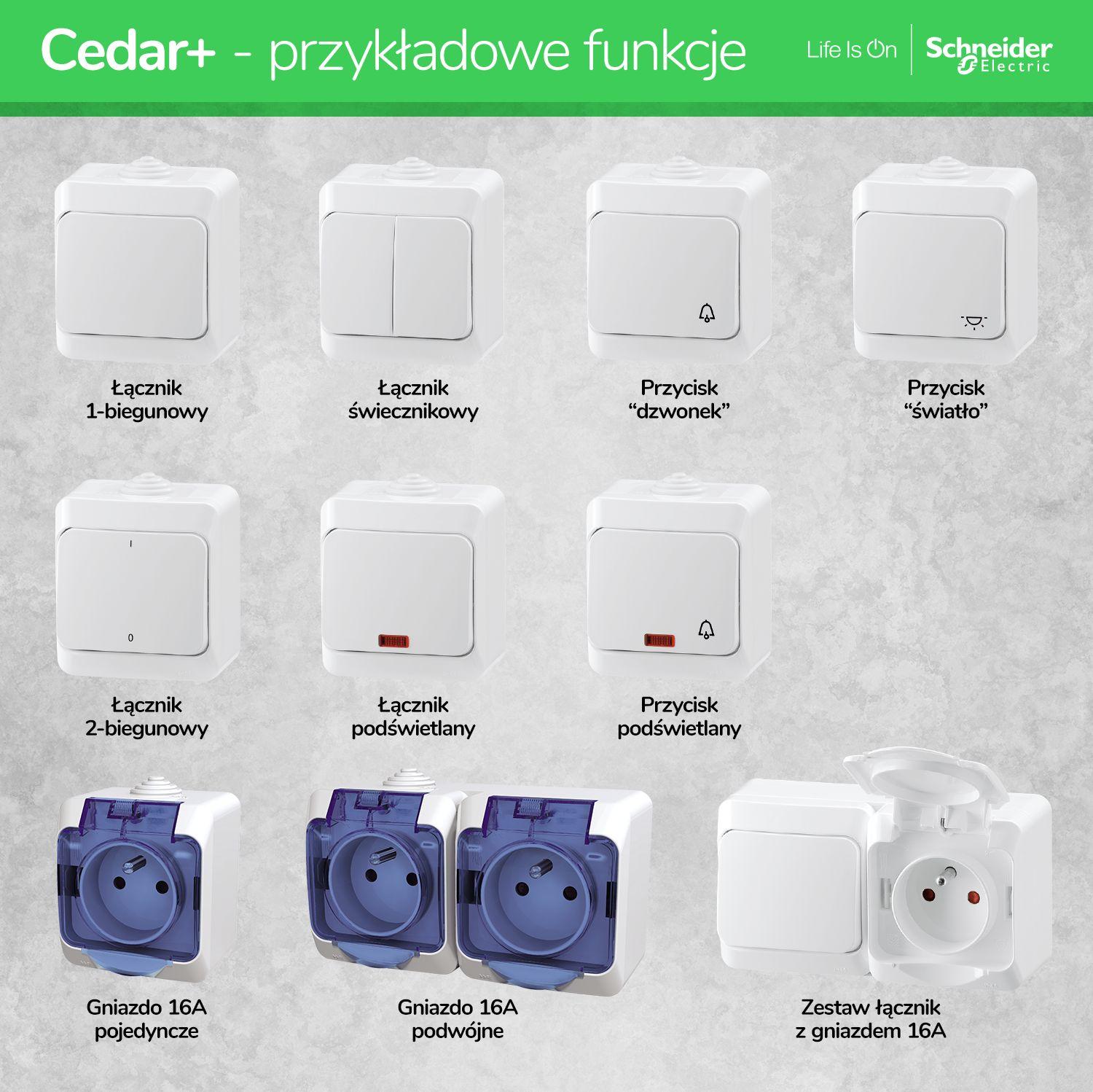 CEDAR Wyłącznik krzyżowy z podświetleniem IP44 biały WNT700CS01 SCHNEIDER ELECTRIC-0