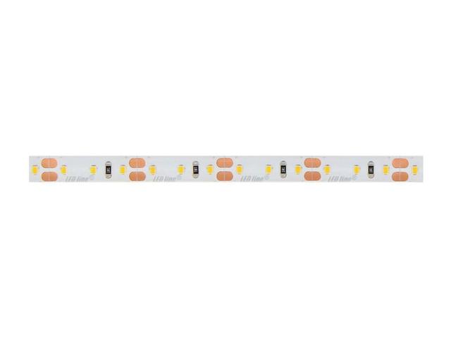 Taśma LED line 600 SMD 2216 pasek 12V 9,6W biała zimna 6500K wodoodporna IP65 5m 249754