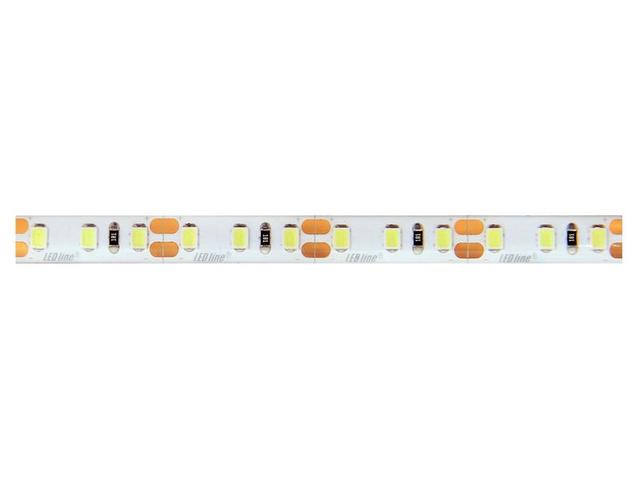 Taśma LED line 600 SMD2835 pasek 12V 9,6W biała zimna 6500K wodoodporna IP65 5m 477057