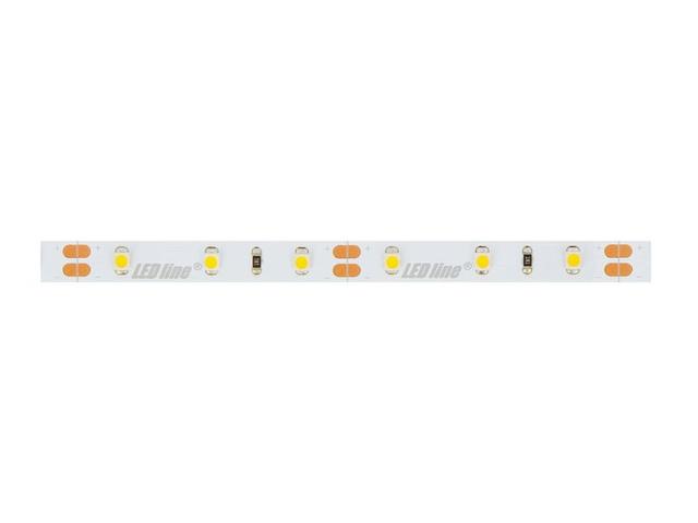 Taśma LED line 300 SMD 3528 pasek 12V 4,8W biała zimna 6500K 30m 249433