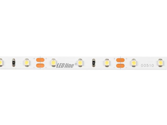 Taśma LED line 300 SMD 3528 pasek 12V 4,8W biała zimna 6500K 5m 240188