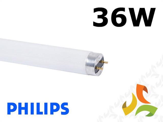 Świetlówka liniowa 36W MASTER TL-D SUPER 80 4000K 3350lm T8 G13 871150063201240 PHILIPS