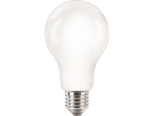 Żarówka LED classic 120W A67 E27 CW FR NDRF1SRT4 871869976453100 PHILIPS