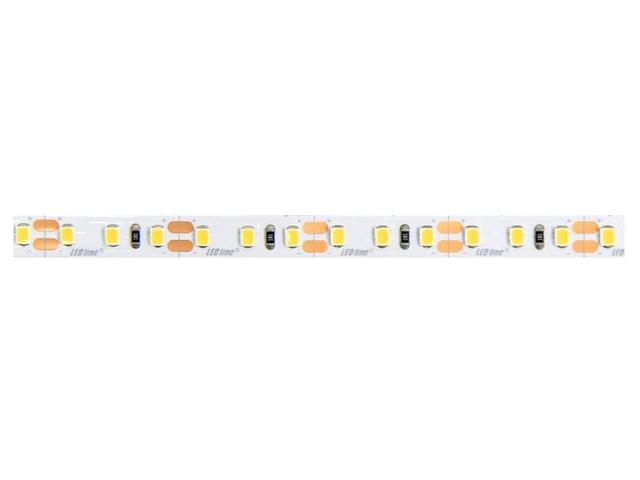 Taśma LED line 600 SMD 2835 pasek 12V 9,6W biała neutralna 4000K 5m 477149